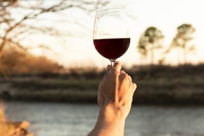 Vinos de parcela
